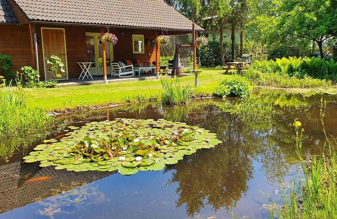 B&B Houtstee-1